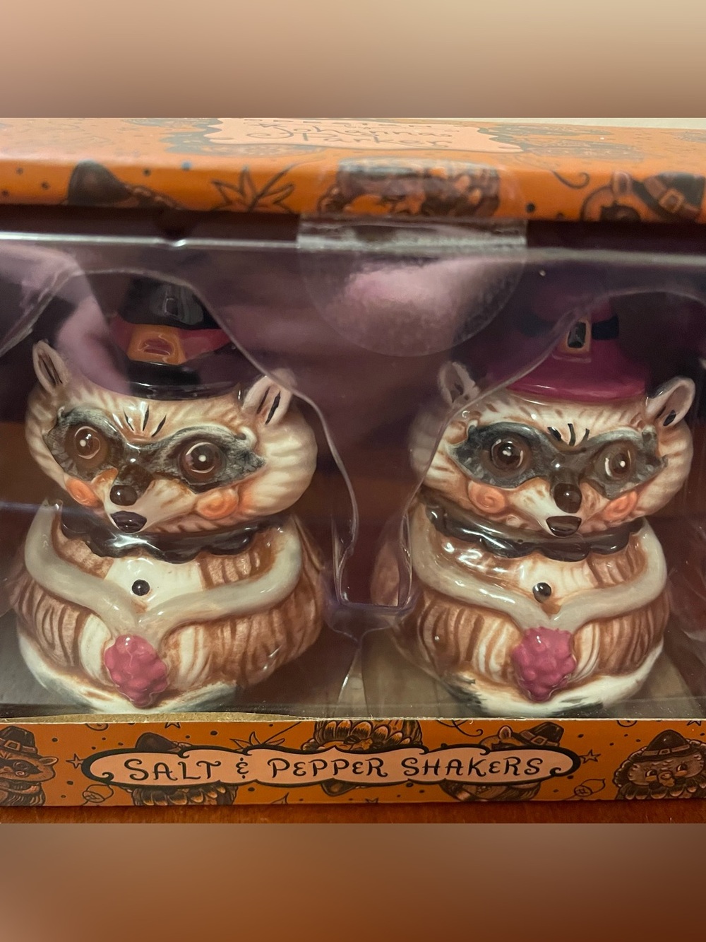 NIB JOHANNA PARKER RACCOON SALT & PEPPER SET Pilgrim Thanksgiving Fall Holiday
